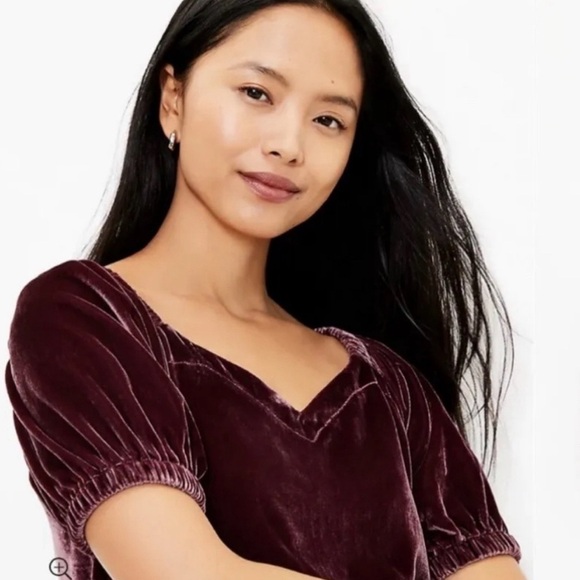{NOT FOR SALE} NWT LOFT Velvet Puff Sleeve Top Bordeaux Size S - Picture 3 of 10